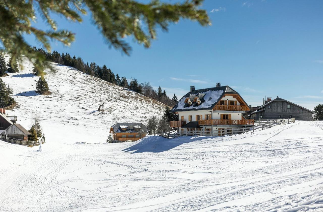 Apartment Jezerca - Krvavec Cerklje na Gorenjskem Buitenkant foto
